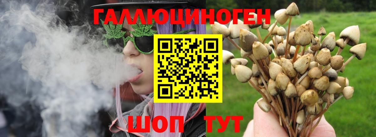 Галлюциногенные грибы GOLDEN TEACHER  Шахты  Галлюциногенные грибы Magic Shrooms 