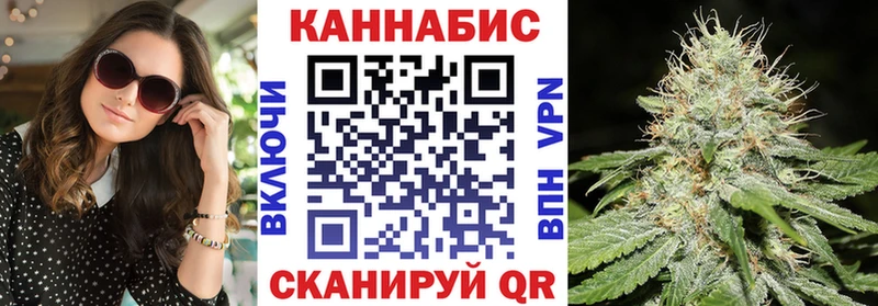 купить наркоту  Шахты  Шишки марихуана семена 
